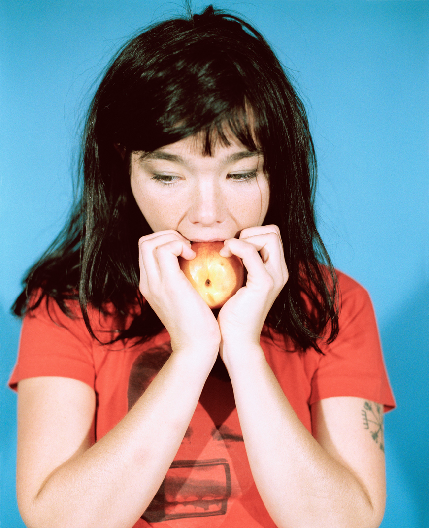 BJORK- OPTION